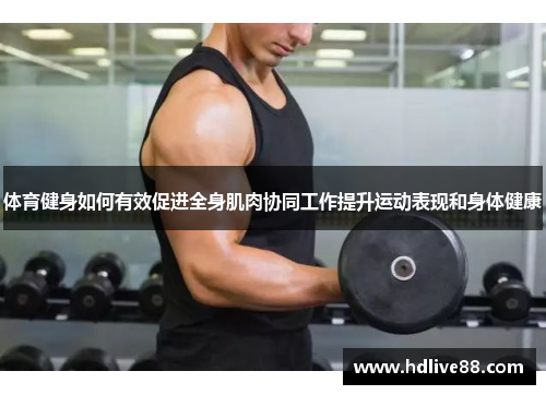 体育健身如何有效促进全身肌肉协同工作提升运动表现和身体健康