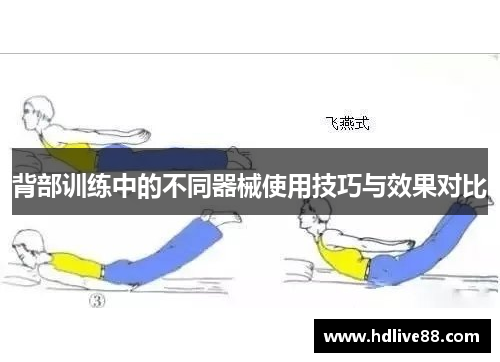 背部训练中的不同器械使用技巧与效果对比