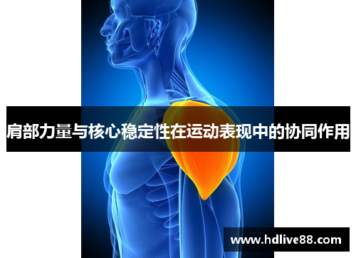肩部力量与核心稳定性在运动表现中的协同作用